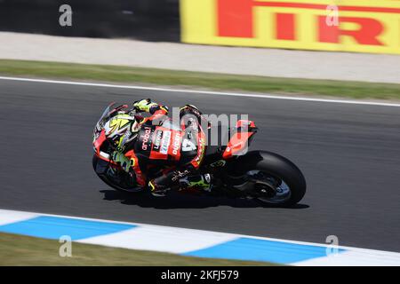 PHILLIP ISLAND, AUSTRALIA - NOVEMBRE 18: Alvaro BAUTISTA di Spagna sulla Aruba.it Racing - Ducati Panigale V4R durante la 2022 FIM World Superb Foto Stock