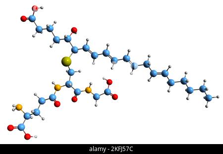 3D immagine del leucotriene C4 formula scheletrica - struttura chimica molecolare del mediatore infiammatorio eicosanoide isolato su sfondo bianco Foto Stock