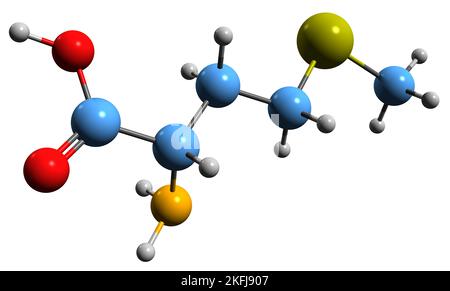 3D immagine della formula scheletrica della metionina - struttura chimica molecolare dell'amminoacido essenziale isolato su sfondo bianco Foto Stock