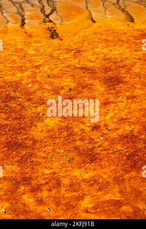 Una fotografia di Grand Prismatic Spring dal Midway Geyser Basin; Yellowstone National Park; Wyoming, USA. Foto Stock