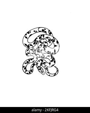 Disegno a mano di un serpente. Può essere utilizzato per il tatuaggio Foto Stock