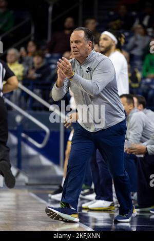 South Bend, Indiana, Stati Uniti. 18th Nov 2022. Mike Brey, allenatore capo di Notre Dame, incoraggia la sua squadra durante il gioco di pallacanestro NCAA tra i Lipscomb Bison e i Notre Dame Fighting Irish al Purcell Pavilion presso il Joyce Center a South Bend, Indiana. John Mersits/CSM/Alamy Live News Foto Stock