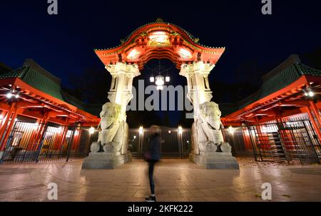 Berlino, Germania. 18th Nov 2022. Una persona passa davanti allo Zoo di Berlino, Germania, 18 novembre 2022. Lo Zoo di Berlino è stato temporaneamente chiuso dal venerdì a causa dell'influenza aviaria, secondo i rapporti dei media. Credit: Ren Pengfei/Xinhua/Alamy Live News Foto Stock