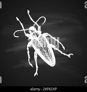 Icona di Longhorn Beetle dipinta una penna di gel bianco su sfondo nero Illustrazione Vettoriale