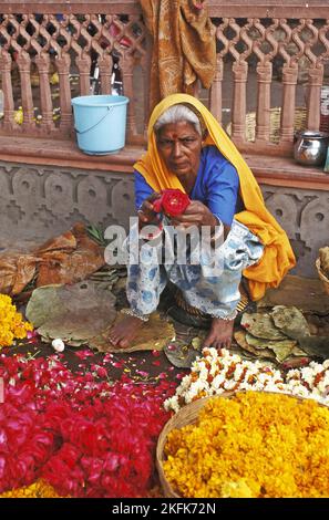 Venditore donna che vende ghirlande marigold a Jaipur, Rajasthan, India Foto Stock