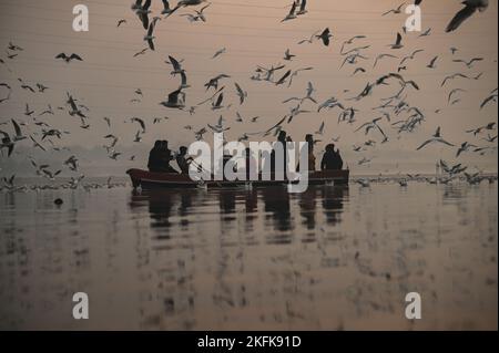 19 novembre 2022, Nuova Delhi, Delhi, India: Un uomo rows la sua barca lungo le rive del fiume Yamuna a Nuova Delhi. Gli uccelli migratori arrivano durante la stagione invernale in diverse parti dell'India entro ottobre e si prevede che partano entro il mese di marzo. (Credit Image: © Kabir Jhangiani/ZUMA Press Wire) Foto Stock