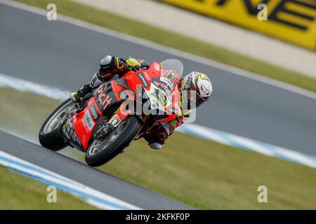 Sabato, 19 novembre, 2022. Campionato del mondo FIM Superbike. Phillip Island, Australia. Prove libere 3. Alvaro Bautista, Aruba.it Ducati World Superbike Team Foto Stock