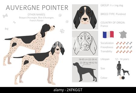Clipart puntatore Auvergne. Pose diverse, set di colori di rivestimento. Illustrazione vettoriale Illustrazione Vettoriale