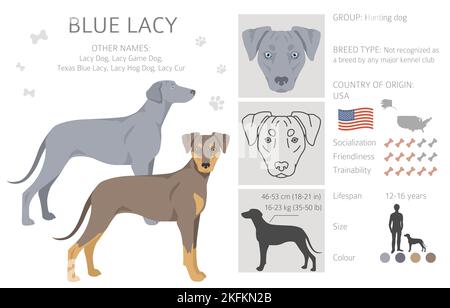 Clipart Lacy blu. Diversi colori e pose del mantello. Illustrazione vettoriale Illustrazione Vettoriale