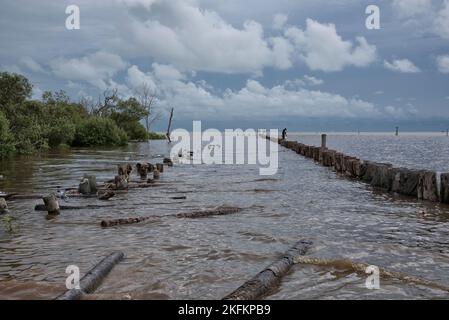 pila in una fila di tronchi di jetty sul mare Foto Stock