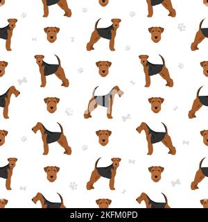 Motivo senza cuciture Welsh Terrier. Pose diverse, set di colori del mantello. Illustrazione vettoriale Illustrazione Vettoriale