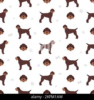 Wirehaired puntamento Griffon senza cuciture patetrn. Pose diverse, set di colori del mantello. Illustrazione vettoriale Illustrazione Vettoriale