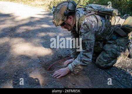 Staff Sgt. Chris Martin dall'esercito degli Stati Uniti 192nd il battaglione di EOD osserva per tutti i disordini durante il difensore ardente di esercitazione, un'esercitazione multinazionale di addestramento di eliminazione esplosiva di ordinanza a 5th Gagetown di base di supporto della divisione canadese in Oromocto, New Brunswick, Canada, settembre 25. Foto delle forze armate canadesi di S1 Larissa De Guzman. Foto Stock