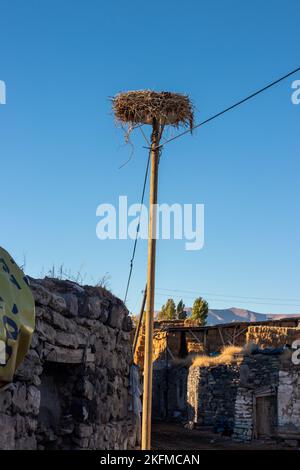 Nido di cicogna vuota, nido vuoto in attesa che le cicogne vengano in primavera. Nido di cicogna su un lampione. Foto Stock