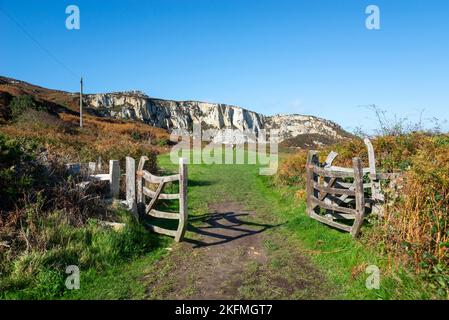 Spettacolare facciata rocciosa della vecchia cava al Breawater Country Park, Holyhead, Anglesey, Galles del Nord. Foto Stock