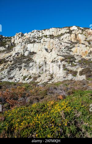 Spettacolare facciata rocciosa della vecchia cava al Breakwater Country Park, Holyhead, Anglesey, Galles del Nord. Foto Stock