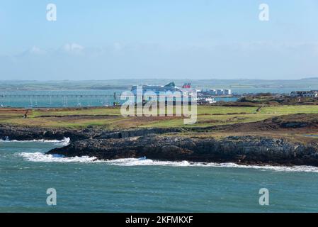 Traghetto nel porto di Holyhead come visto da Breakwater Country Park, Anglesey, Galles del Nord. Foto Stock