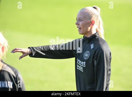 Zwolle, Paesi Bassi. 14th Nov 2022. Sofie Svava (23) di Danimarca ha raffigurato durante una sessione di allenamento della nazionale femminile danese prima della loro amichevole partita contro i Paesi Bassi, allo Stadio MAC3Park di Zwolle, nei Paesi Bassi. (Foto: David Catry/Sports Press Photo/C - SCADENZA UN'ORA - ATTIVA FTP SOLO SE LE IMMAGINI HANNO MENO DI UN'ORA - Alamy) Credit: SPP Sport Press Photo. /Alamy Live News Foto Stock