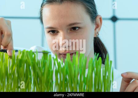 giovane donna che taglia l'erba verde con le forbici rendendo perfetta altezza uguaglianza perfetta Foto Stock