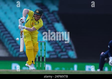 Sydney, Australia. 19th Nov 2022. 19th novembre 2022; Sydney Cricket Ground, Sydney, NSW, Australia; 2nd un giorno International Cricket Australia contro l'Inghilterra; David Warner of Australia clip la palla a fine gamba credito: Action Plus Sport Images/Alamy Live News Foto Stock