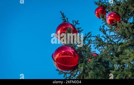 Natale Trento: Albero di Natale decorato con palline rosse con riflessi - Trentino Alto Adige - Italia settentrionale Foto Stock