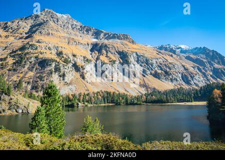 Splendida vista sul lago Cavloc nella regione di Maloja, in Svizzera, in un pomeriggio di sole ottobre Foto Stock