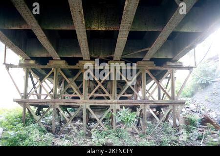 vecchio ponte abbandonato con costruzione in acciaio nel fiume Foto Stock