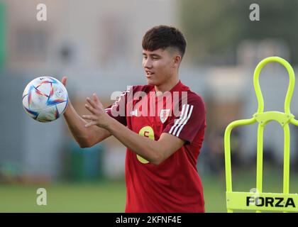 Qatar. 19th Nov 2022. FIFA World Cup Football, Pre-Giochi opinioni generali; Rubin Colill of Wales durante la sessione di allenamento al Sadd SC New Training Facilities 2 credito: Action Plus Sports/Alamy Live News Foto Stock