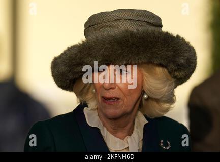 Il Queen Consort il Sabato del fine settimana di Novembre Racing all'Ippodromo di Ascot. Data immagine: Sabato 19 novembre 2022. Foto Stock