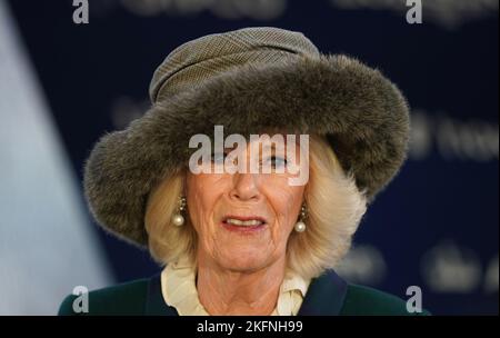 Il Queen Consort il Sabato del fine settimana di Novembre Racing all'Ippodromo di Ascot. Data immagine: Sabato 19 novembre 2022. Foto Stock