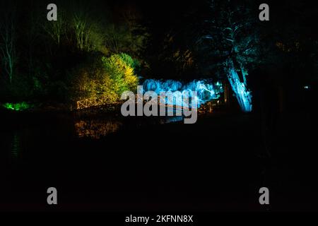 Cascata illuminata alle luci di Natale al Palazzo di Blenheim, 2020. Foto Stock