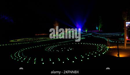 Luci di Natale a Blenheim Palace, 2020. Foto Stock