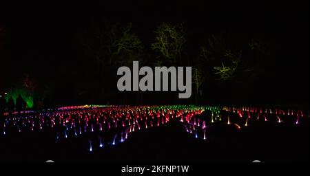 Luci di Natale a Blenheim Palace, 2020. Foto Stock