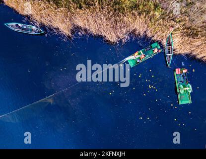 Alt Schlagsdorf, Germania. 19th Nov 2022. Il pescatore Walter Piehl e i suoi collaboratori prendono la rete di trasporto dall'acqua del lago di Neuschlagsdorf. (Foto aerea con un drone) tre settimane dopo l'inizio della stagione delle carpe, i pesci del Meclemburgo non vogliono ancora entrare in rete. Il tempo è troppo caldo e i pesci sono ancora troppo agili. Piehl, 65 anni, è uno dei pochissimi pescatori dello Stato che catturano la carpa con reti da trasporto. Credit: Jens Büttner/dpa/Alamy Live News Foto Stock