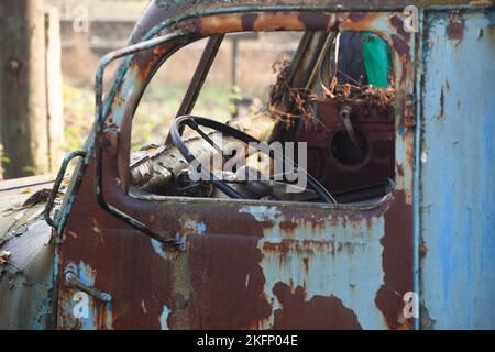 Un camion abbandonato arrugginisce, la vernice che era blu si toglie e scompare. L'interno della cabina è arrugginito e danneggiato. Foto Stock