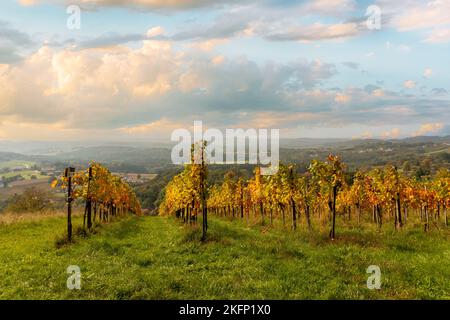 Vigneti colorati durante il tramonto in autunno. Famosa regione panoramica della Stiria Südsteiermark. Foto Stock