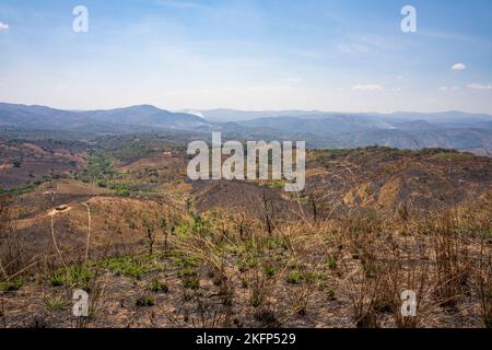 Ambiente agricolo che mostra segni di danni da incendio nei pressi di Bula, Nkhata Bay District, Malawi Foto Stock