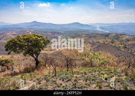 Ambiente agricolo che mostra segni di danni da incendio nei pressi di Bula, Nkhata Bay District, Malawi Foto Stock