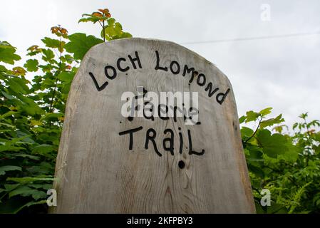 Una panchina in legno all'inizio del percorso Faerie a Loch Lomond, Scozia. Sedia da sentiero Loch Lomond Faerie / panca Foto Stock