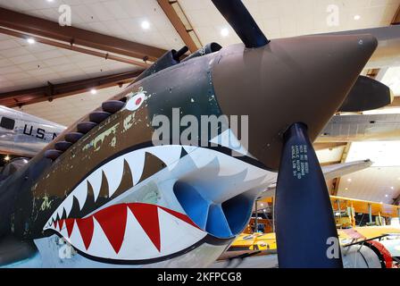 Un aereo da combattimento della seconda guerra mondiale Flying Tiger, con i suoi denti affilati e le sue bande mostrate nel Museo dell'aviazione navale, che mostra aerei militari Foto Stock