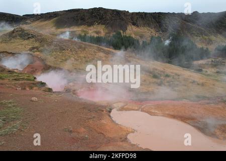 Area geotermica, Hveragerdi, Islanda Foto Stock