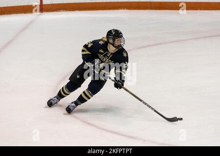 19 novembre 2022: Il difensore dei Lions Lindenwood Quinn McLaren (24) pattina nel secondo periodo contro le Tigri RIT. Il Rochester Institute of Technology Tigers ha ospitato i Lindenwood University Lions in una conferenza di Hockey College America della NCAA Division 1 presso il gene Polisseni Center di Rochester, New York. (Jonathan Tenca/CSM) Foto Stock