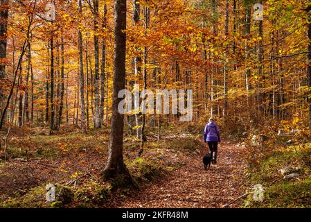 Escursioni nella valle di Vrata in autunno, Parco Nazionale del Triglav nelle Alpi Giulie, Slovenia Foto Stock