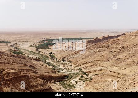 Vista dell'Oasi di Chebika in Tunisia con palme e montagne sullo sfondo. Destinazione del viaggio. Vacanze e relax nel deserto. Turismo. Foto Stock