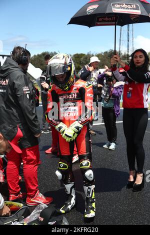 Victoria, Australia. 20th Nov 2022. Alvaro Bautista (ESP) correndo per Aruba.it Racing-on la griglia di partenza prima della Tissot Super Pole Race durante il Grand Ridge Round australiano 2022 del Campionato Mondiale FIM Superbike MOTUL 2022 a Phillip Island, Australia il 20 2022 novembre - Image Credit: brett keating/Alamy Live News Foto Stock