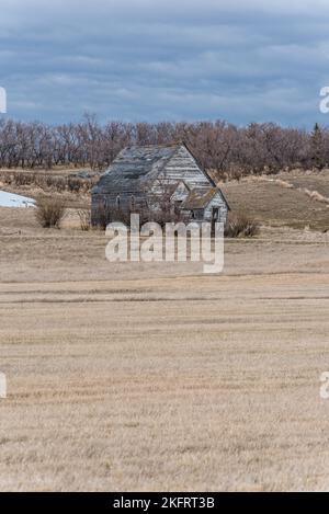 La vecchia chiesa bianca abbandonata a Neidpath, Saskatchewan Foto Stock