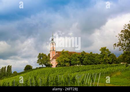 Basilica Birnau, Chiesa di Santa Maria, chiesa barocca di pellegrinaggio sulla riva nord del lago di Costanza, chiesa barocca, vigneto, viti, torre della chiesa, sa Foto Stock