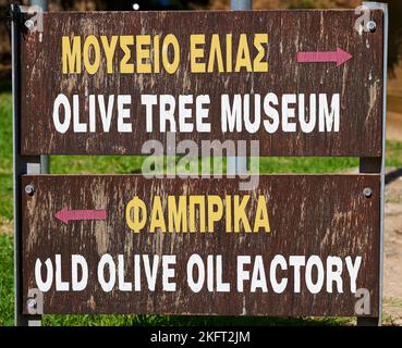 Olive (olivae), segno del Museo dell'olivo, l'olivo più antico di Creta, l'olivo più antico del mondo, Vouves, Creta occidentale, isola di Creta, Grecia, Euro Foto Stock