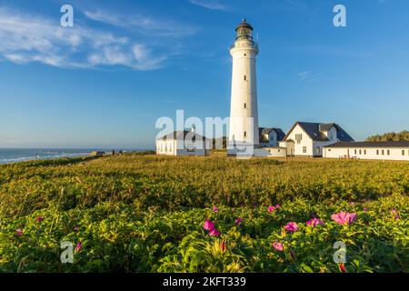 Atmosfera serale al faro di Hirtshals, Jutland, Danimarca, Europa Foto Stock