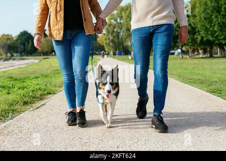 Anonimo coppia in abiti casual a piedi con bordo Collie sul sentiero contro gli alberi in giornata di sole Foto Stock